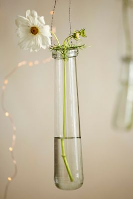 Large Hanging Glass Bud Vase Set