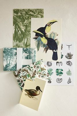 Natural History Stationery Set