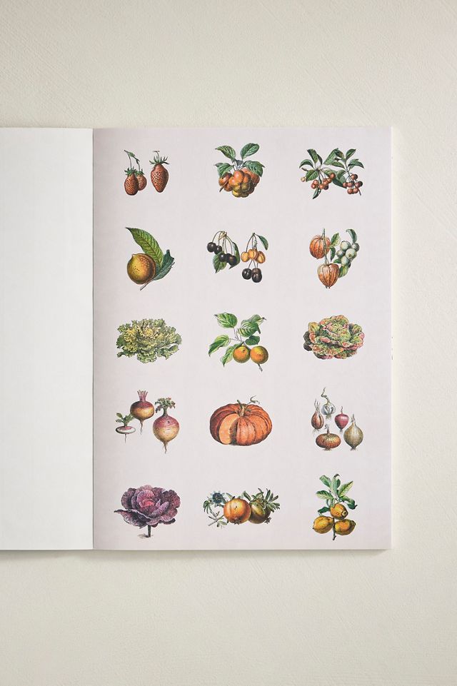 Natural History Label + Sticker Book #1
