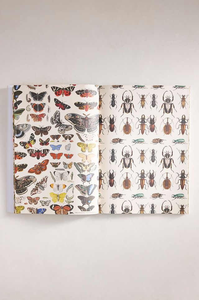 Natural History Gift + Creative Paper Book #1