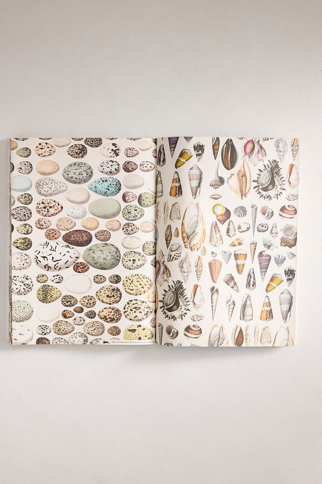 Natural History Gift + Creative Paper Book #3