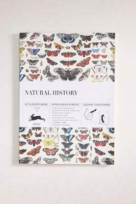 Natural History Gift + Creative Paper Book