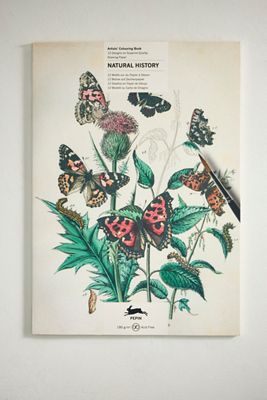 Natural History Artist’s Coloring Book