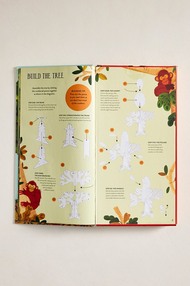 Build a Tree Book + Model Kit #2