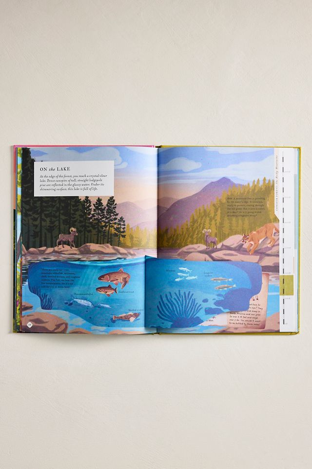 There’s a Mountain in This Book #3