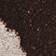 Poodle