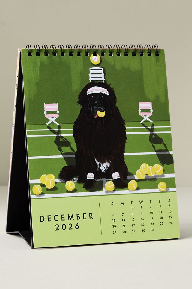 Paper Source 2026 Desk Easel Calendar #2