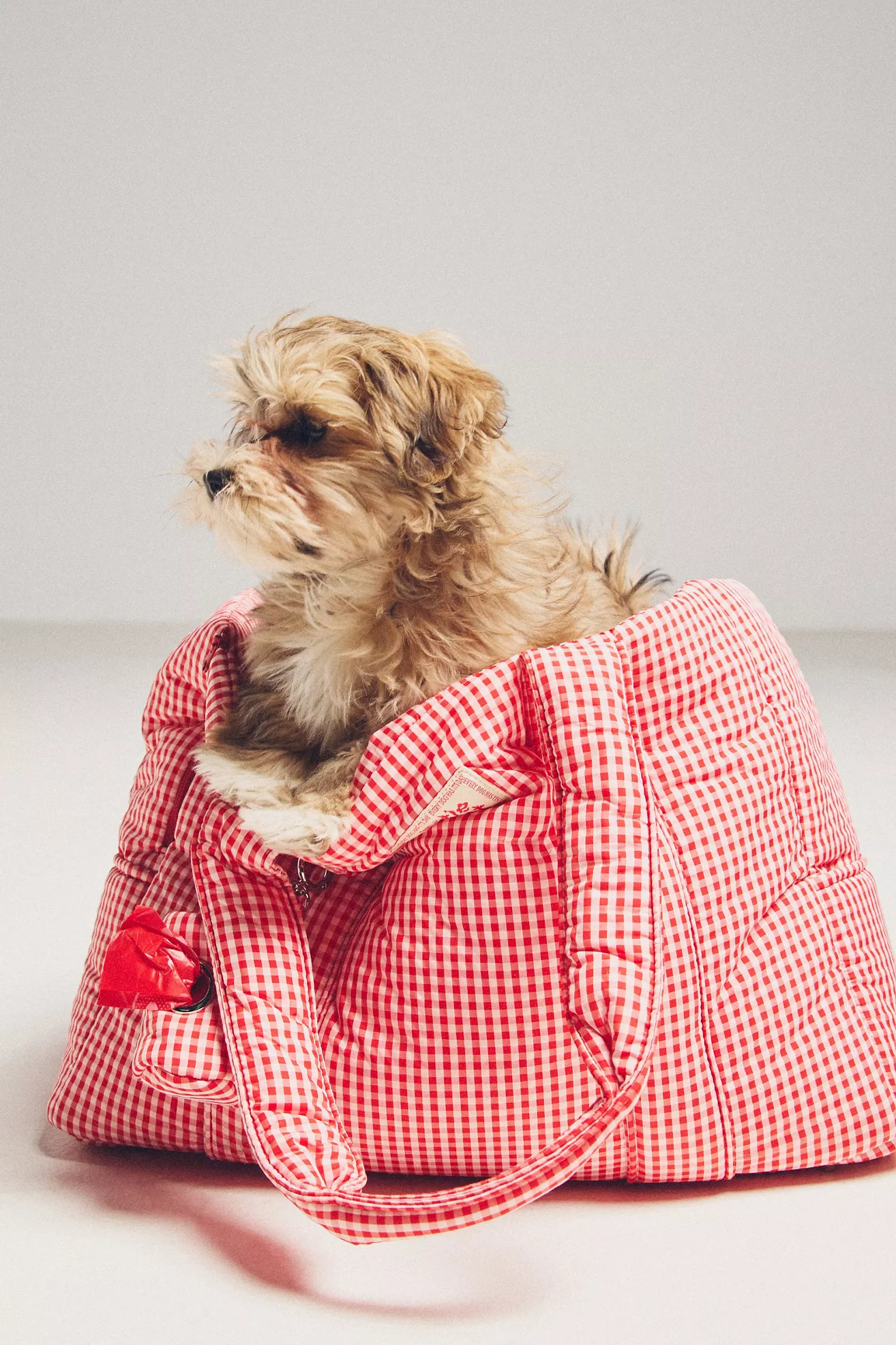 Little Beast Dog Carrier - thumbnail 8