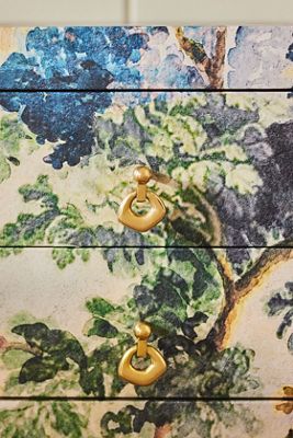 Loren Brass Knobs, Set of 2