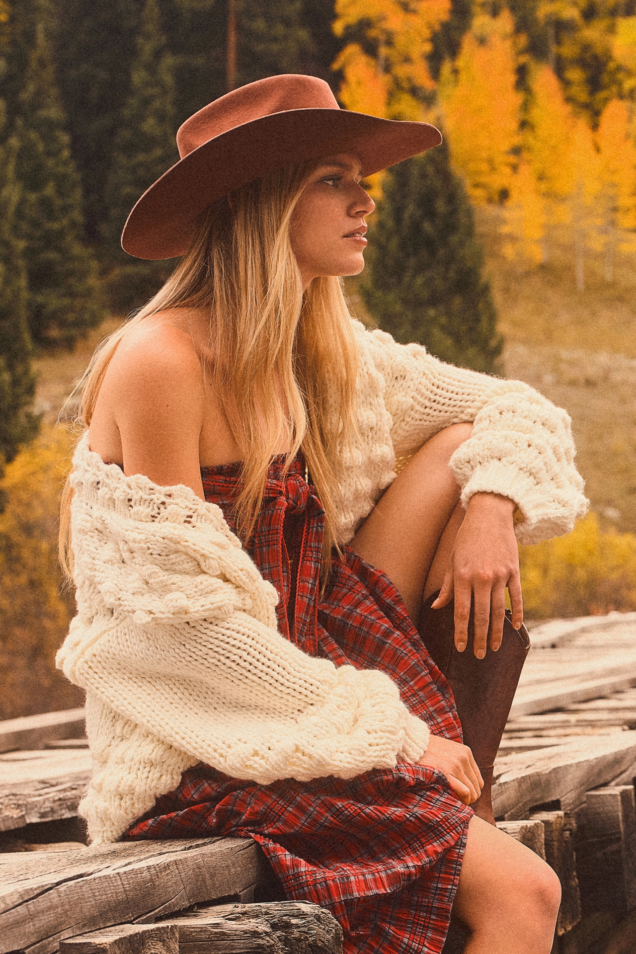 Wyeth Wool Felt Cowboy Rancher