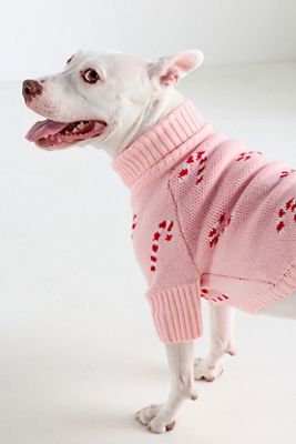 The Foggy Dog Candy Cane Pet Sweater