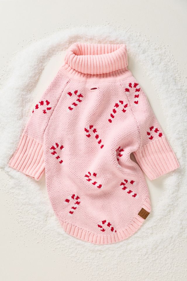 The Foggy Dog Candy Cane Pet Sweater #1