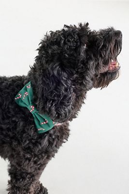 The Foggy Dog Embroidered Dog Bow Tie