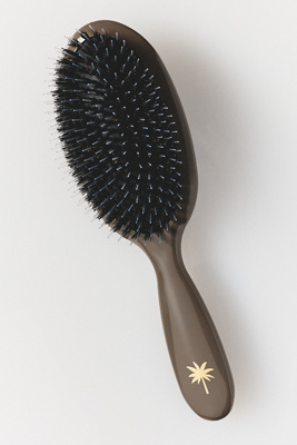 Fan Palm Medium Hair Brush In Multi