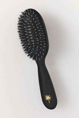 Fan Palm Small Hair Brush In Black