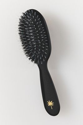 Fan Palm Small Hair Brush
