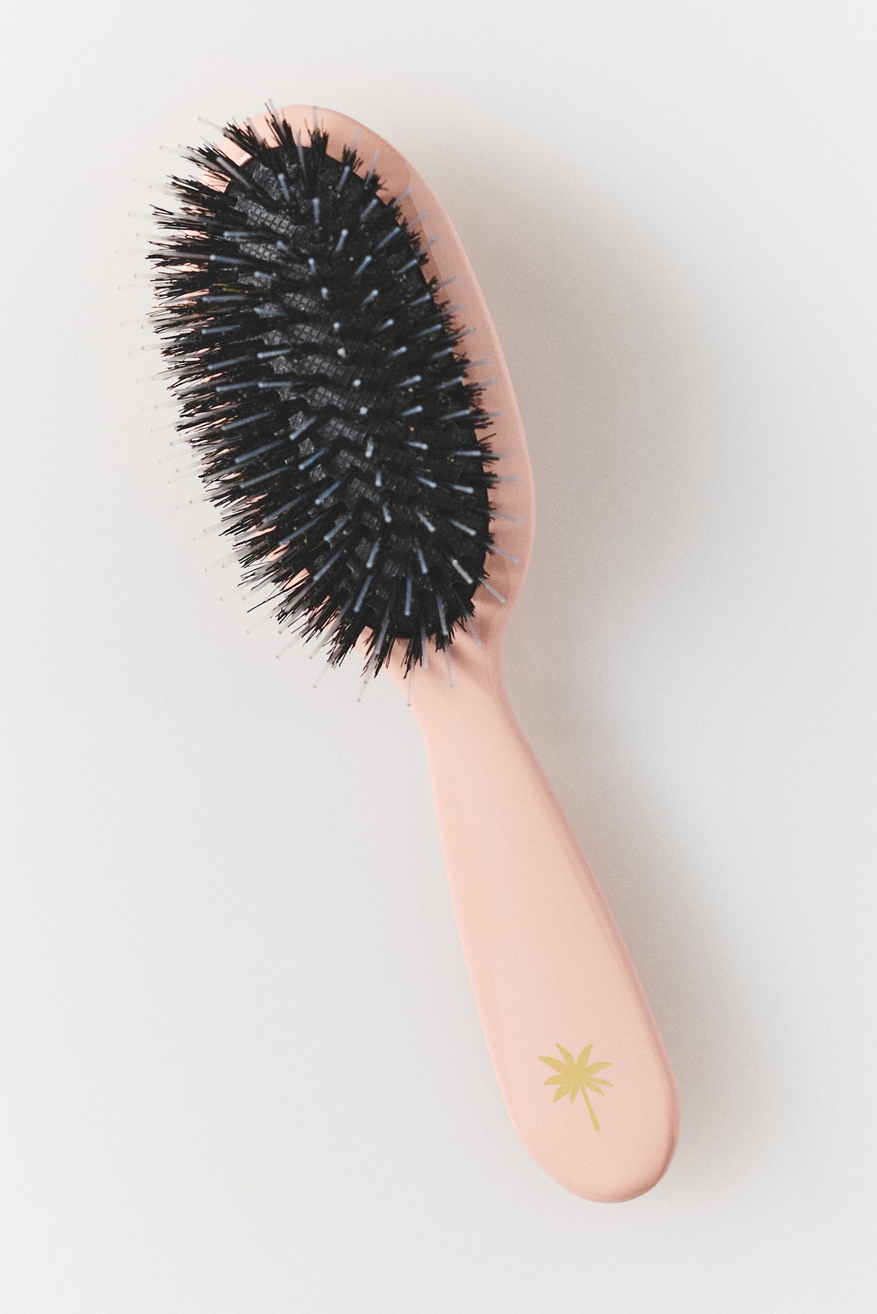 Fan Palm Small Hair Brush