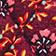 Lattice Patchwork Mistletoe