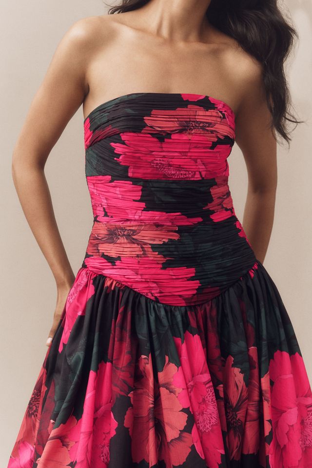 Hutch Georgina Strapless Ruched Drop-Waist Maxi Dress #2