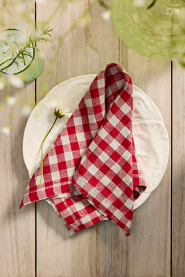 Terrain Red Gingham Linen Napkins, Set Of 2