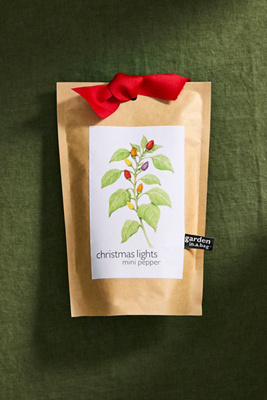 Terrain Christmas Lights Pepper Grow Kit