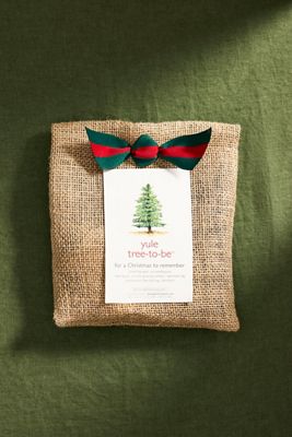 Yule Tree-to-Be Grow Kit