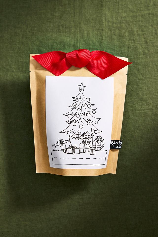 Kids’ Christmas Tree Grow Kit #1