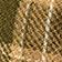 Brown Pattern