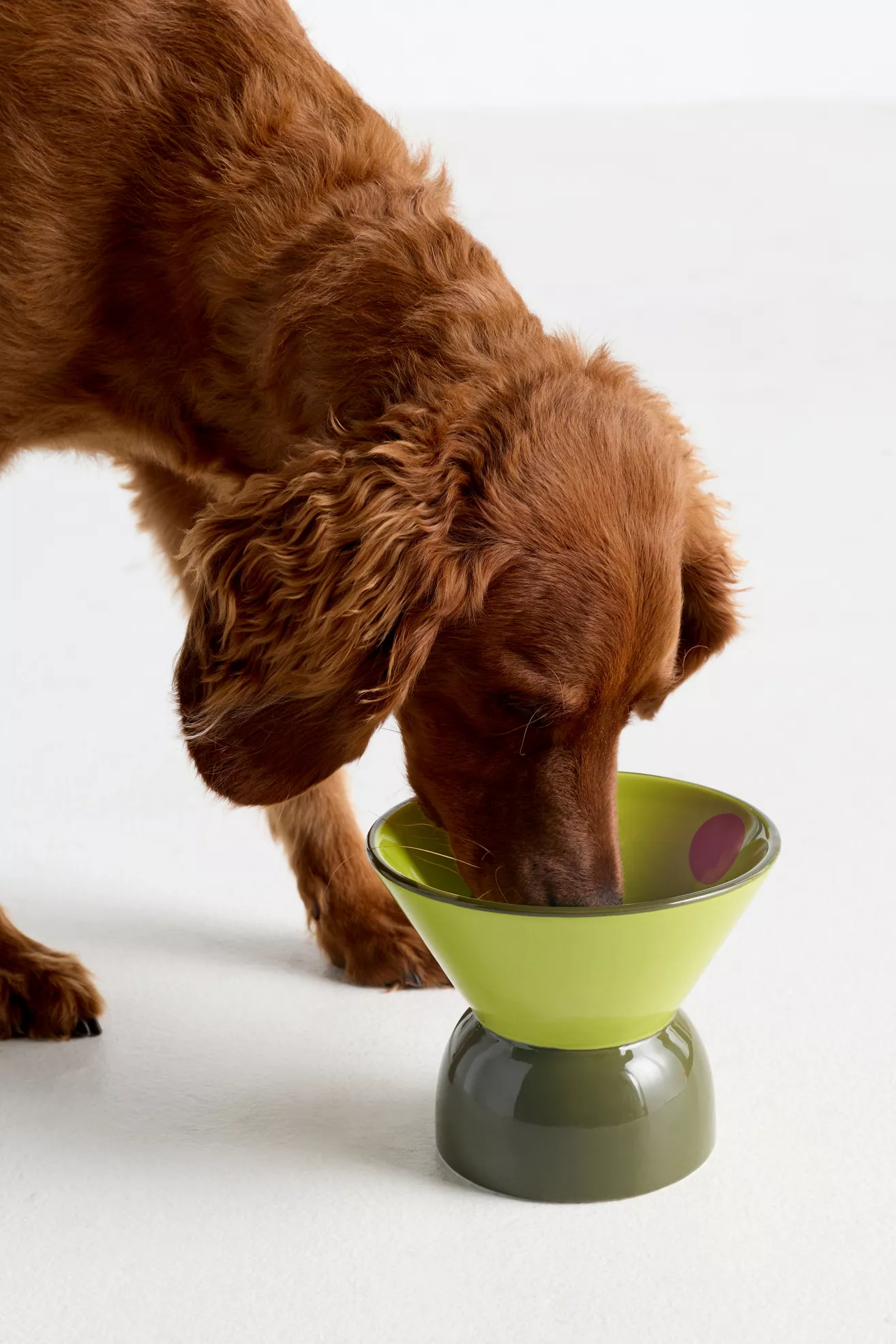 Boozy Pet Bowls - thumbnail 7