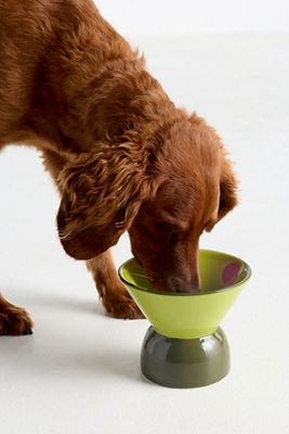 Boozy Pet Bowls