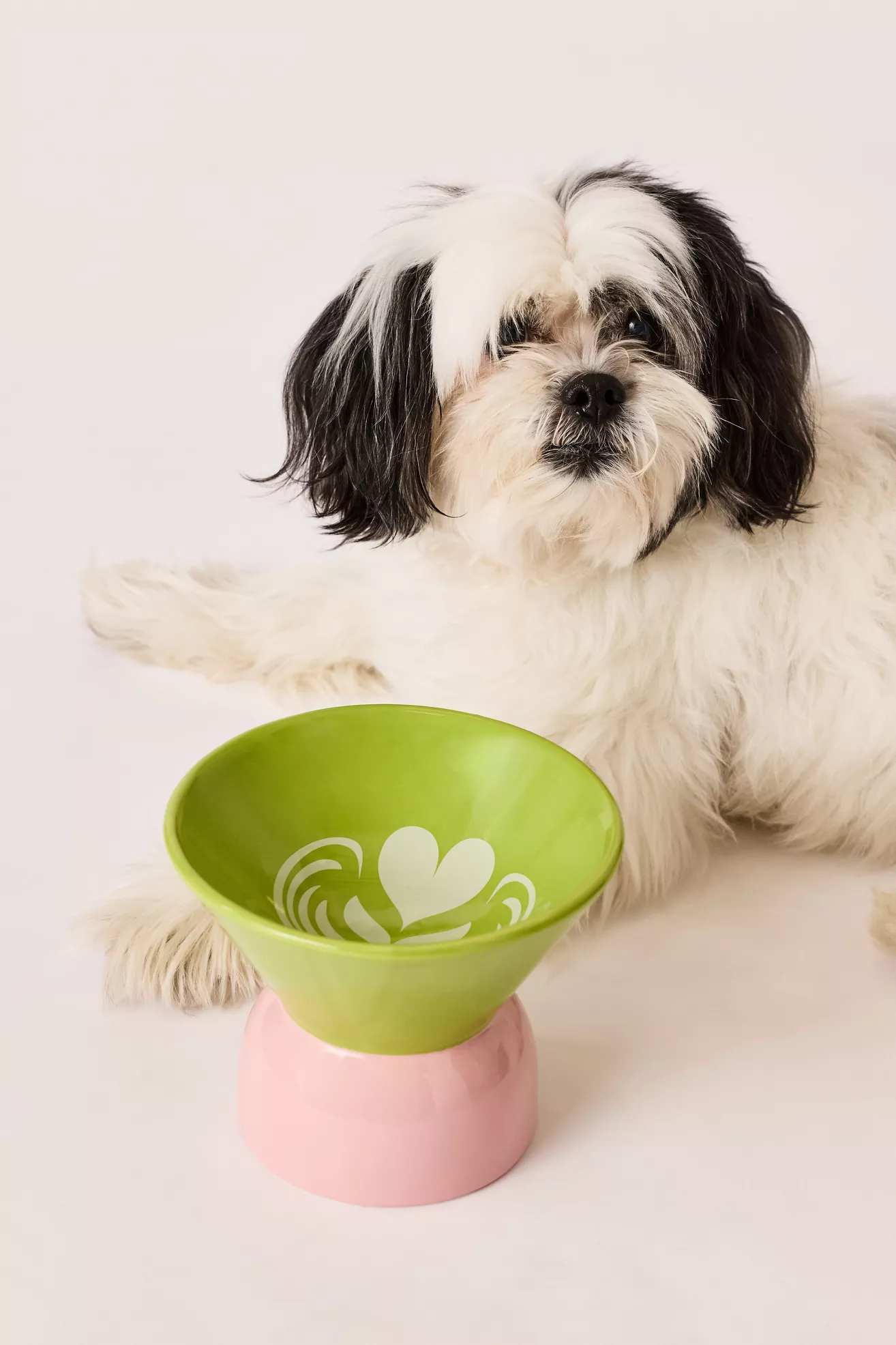 Boozy Pet Bowls - thumbnail 10