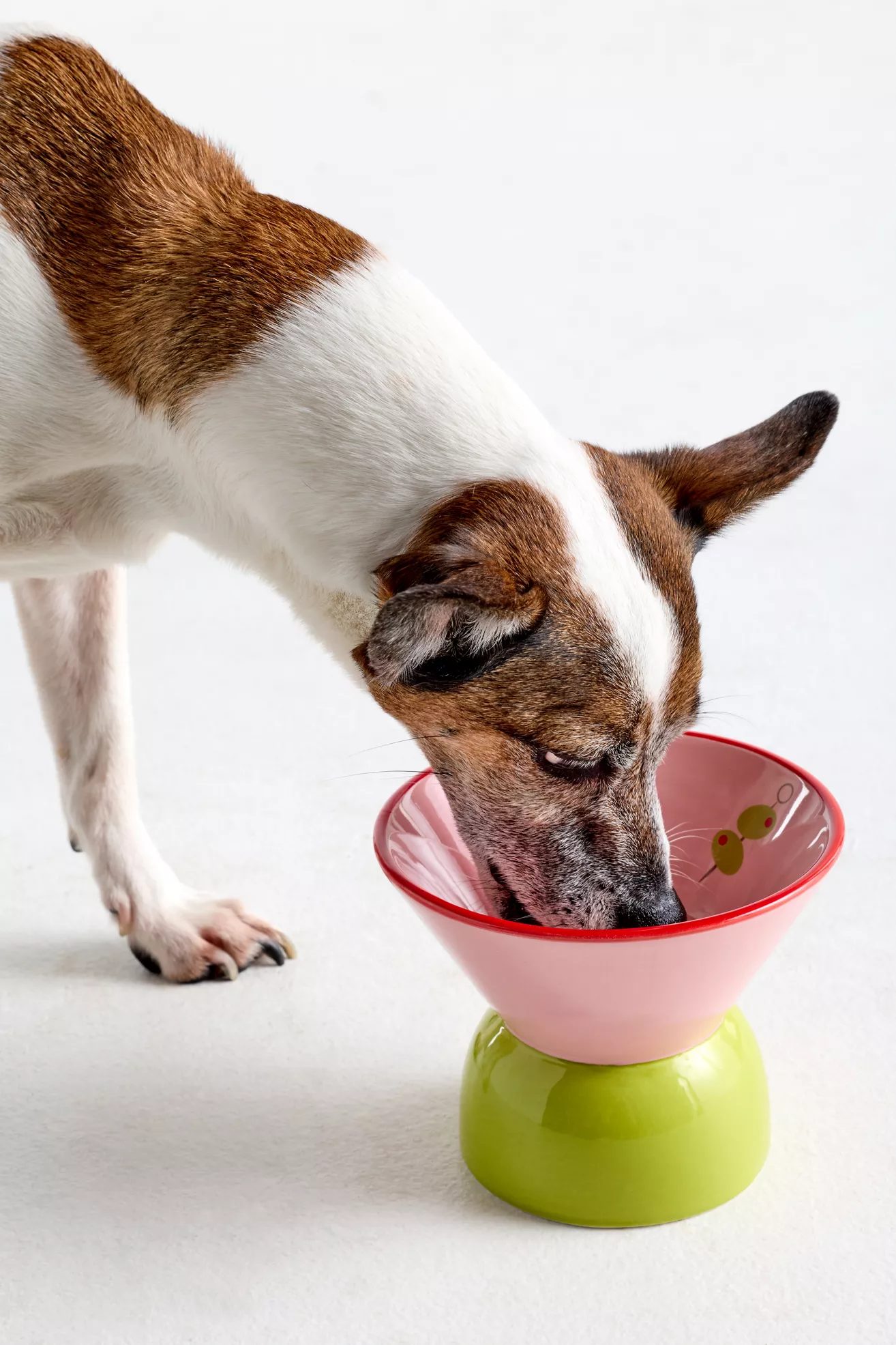 Boozy Pet Bowls