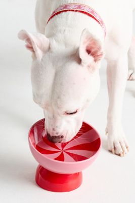 Peppermint Pet Bowl