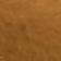 Tortoise