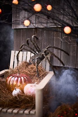 Woven Rattan Spider
