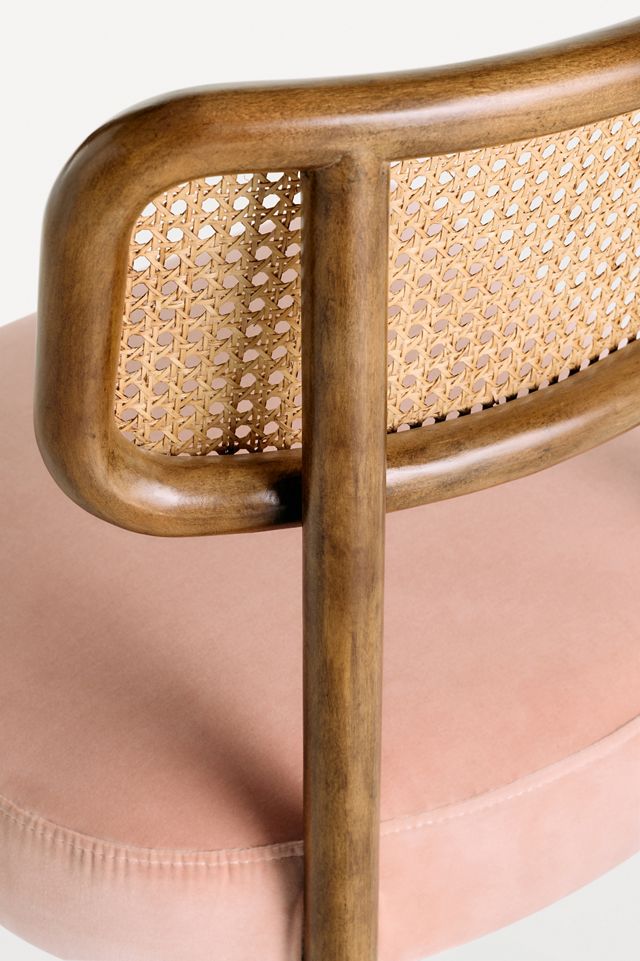 Heatherfield Velvet Dining Chair #4