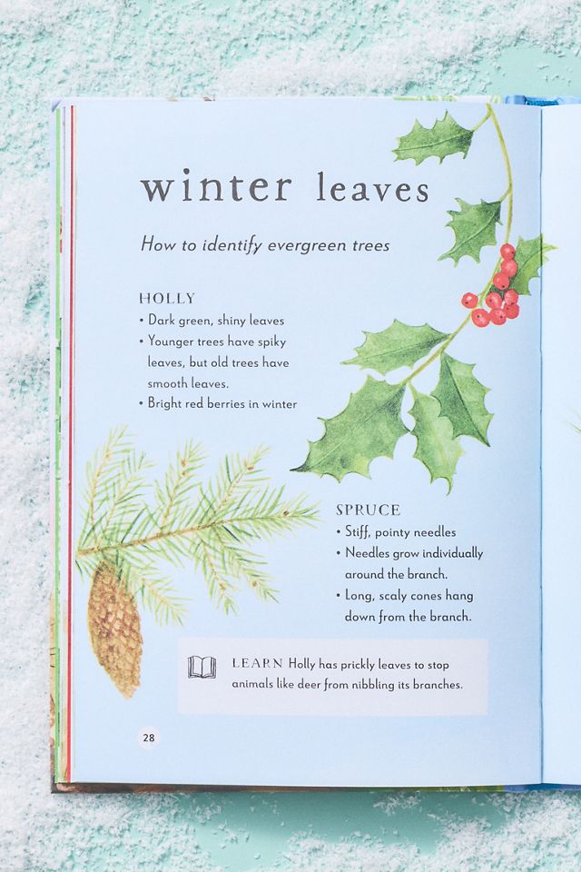 A Field Guide to Winter Hardcover Kids Book #1