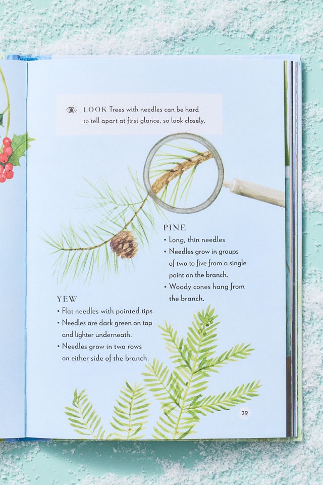 A Field Guide to Winter Hardcover Kids Book #2