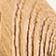 Light Oak
