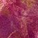 Hot Peony