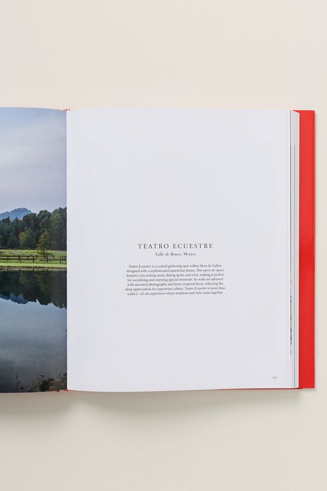 Luis Bustamante: New Perspectives Hardcover Book #1