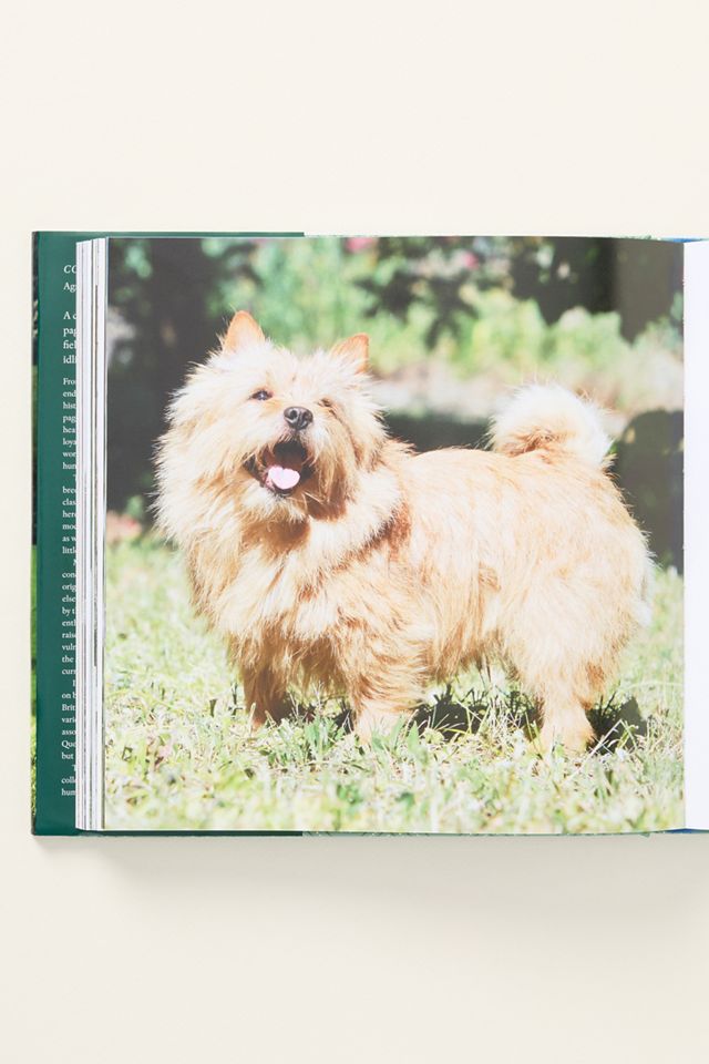 Country Life's Book of Dogs Hardcover Book #1