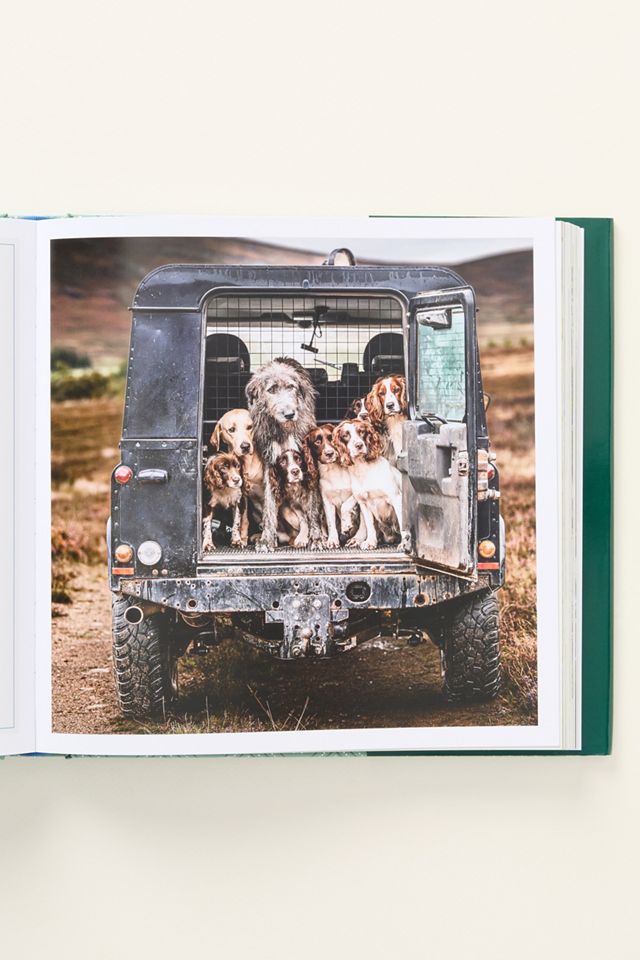 Country Life's Book of Dogs Hardcover Book #2
