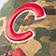 Chicago Cubs