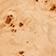 Light Burl