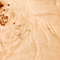 Light Burl