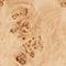 Light Burl
