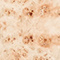 Light Burl