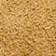 Medium Beige Suede