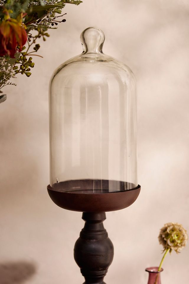 Miniature Glass + Iron Curiosity Cloche #1